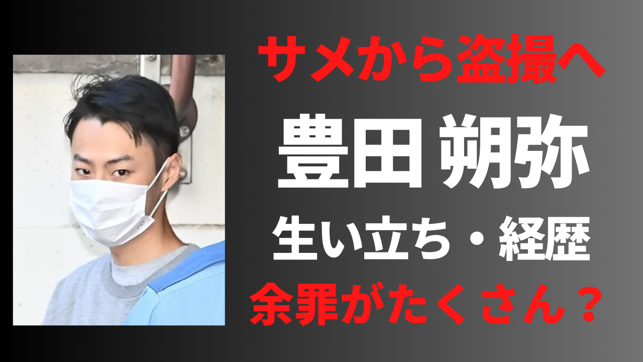 【顔画像】豊田朔弥の経歴や生い立ち!盗撮の余罪がヤバすぎる!?